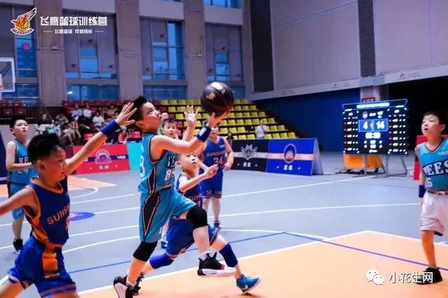 篮球基础训练儿童教案_1